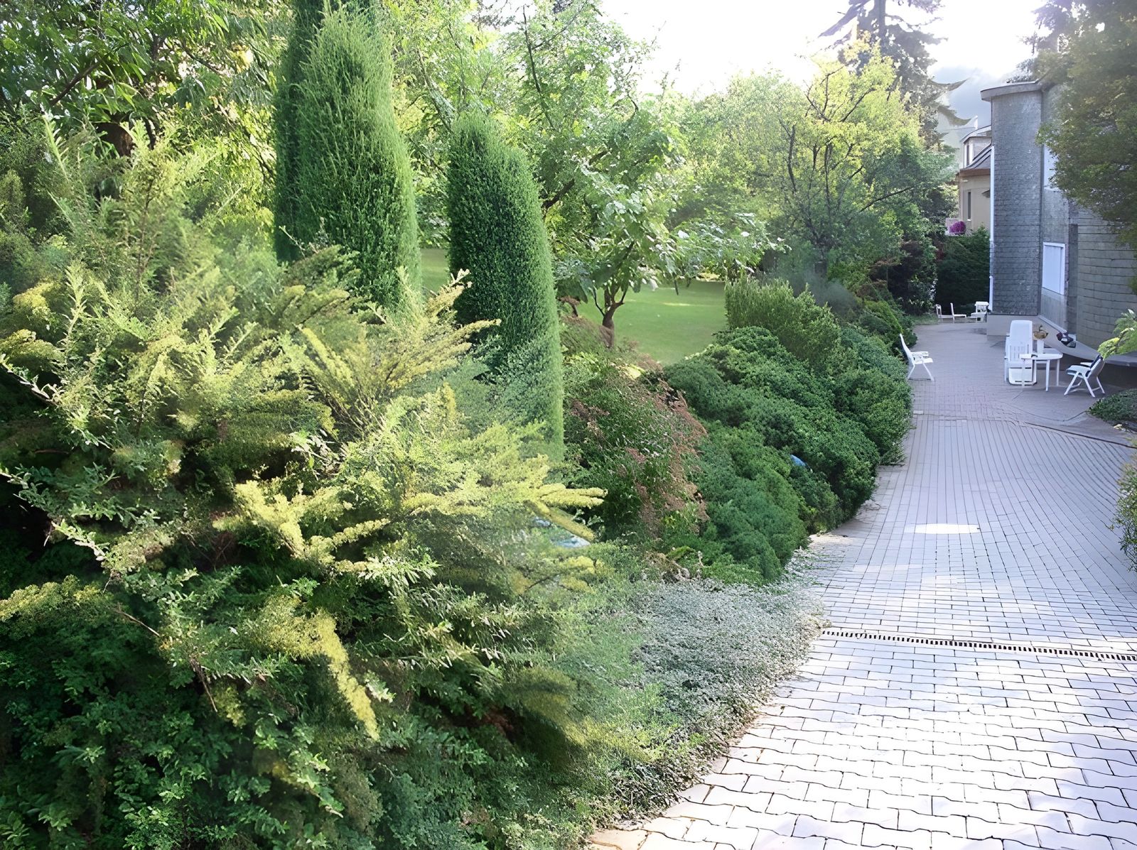 Dlážděný chodník lemovaný jehličnany a keři
